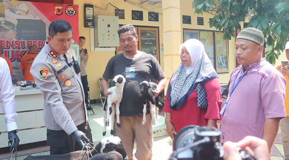 Polres Sukabumi Ringkus Dua Pelaku Pencurian Domba di Surade