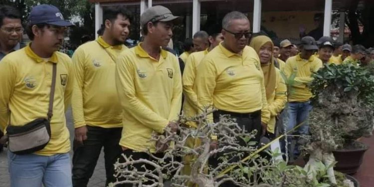 Bupati Marwan: Budidaya Bonsai, Alamnya Terjaga Hobinya Terpelihara