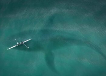 Kisah Pilu Boomingnya Megalodon di Sukabumi, Eksplorasi Serampangan hingga Timbulkan Korban Jiwa