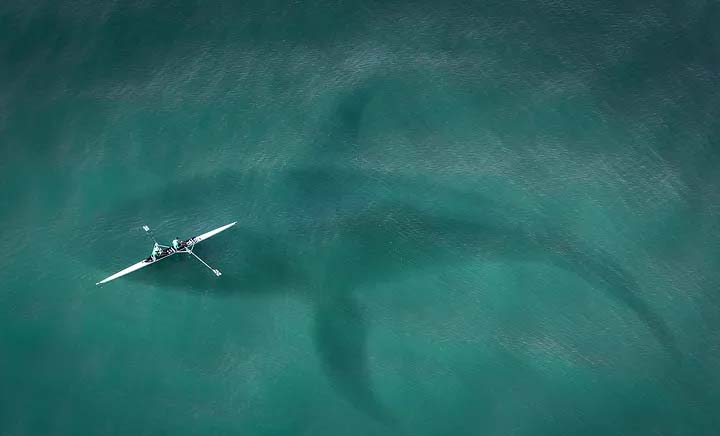 Kisah Pilu Boomingnya Megalodon di Sukabumi, Eksplorasi Serampangan hingga Timbulkan Korban Jiwa