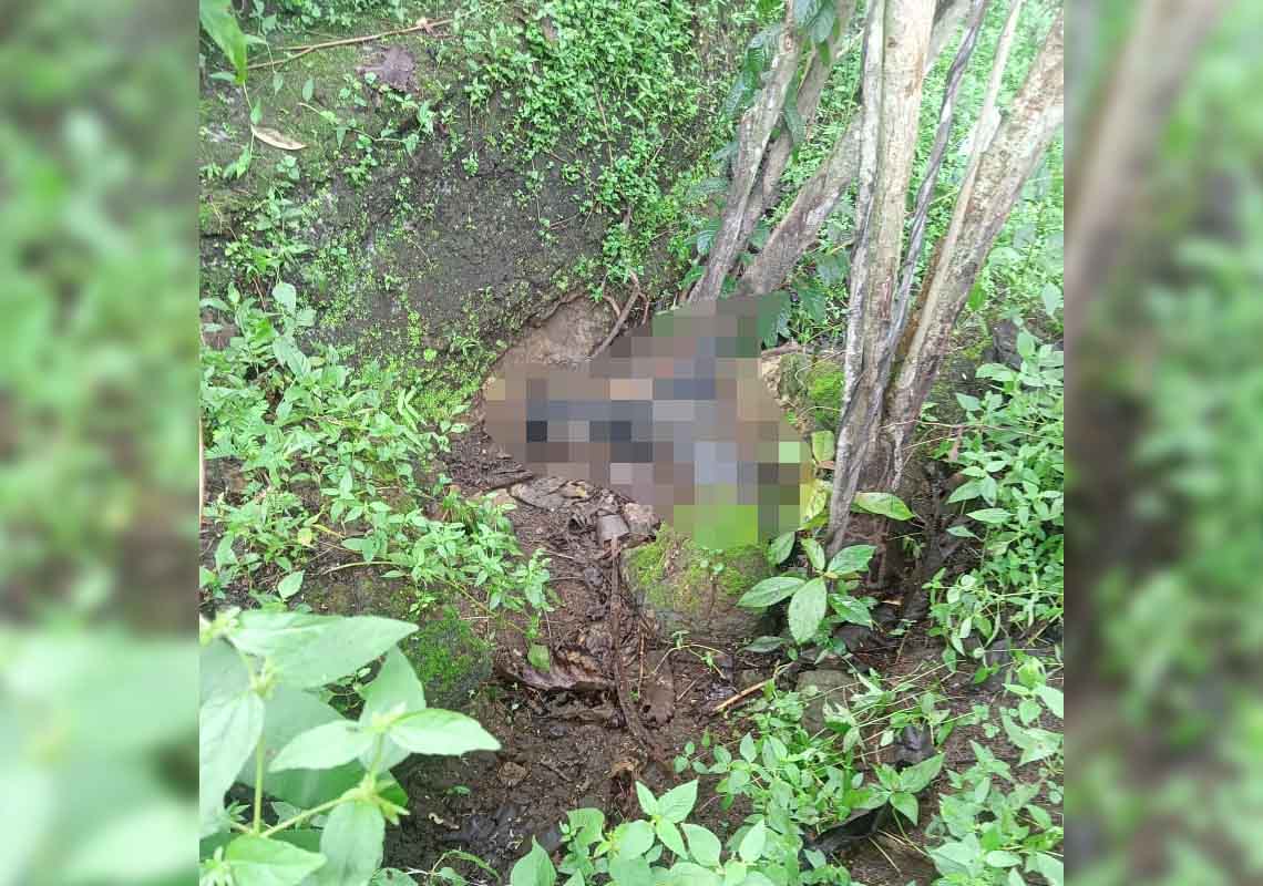 Geger! Mayat Membusuk di Hutan Jati Perhutani Gegerkan Warga Cibitung Sukabumi