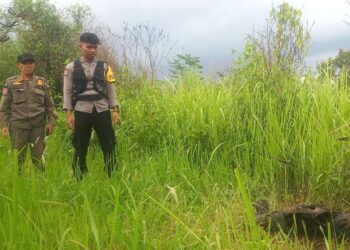 Jampangkulon Geger, Sesosok Mayat Ditemukan Membusuk di Semak-semak