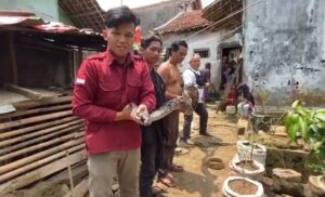 Ular Piton Sepanjang 5 Meter Gegerkan Warga Cibadak Sukabumi