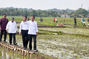 Presiden Jokowi Tingkatkan Alokasi Subsidi Pupuk jadi 9,55 Juta Ton di 2024