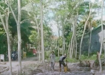 Dinas PU Kabupaten Sukabumi Bangun Jalan Darurat di Desa Cibuntu