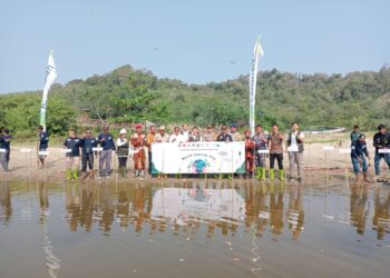 Peringatan Hari Mangrove Sedunia, di Geopark Ciletuh Pelabuhan Ratu, Jumat, 26 Juli 2024