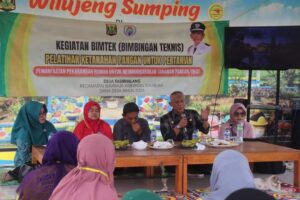 Warga Desa Pasirhalang Sukaraja Manfaatkan Pekarangan Untuk Ketahanan Panganngan