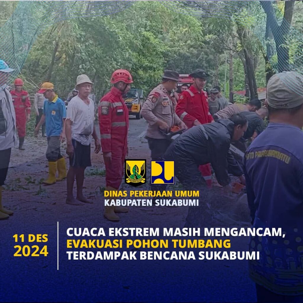 Sigap, PU Kabupaten Sukabumi Evakuasi Pohon Tumbang Akibat Badai Lanina di Palabuhanratu