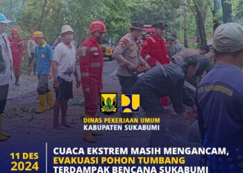 Sigap, PU Kabupaten Sukabumi Evakuasi Pohon Tumbang Akibat Badai Lanina di Palabuhanratu