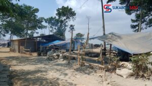 Polisi Gerebeg Tambang Emas Ilegal di Simpenan, Sejumlah Orang Diamankan