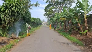 Pastikan Pengguna Jalan Nyaman, Dinas PU Kabupaten Sukabumi Lakukan Pemeliharaan Bahu Jalan
