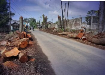 Meminimalisir Dampak Bencana Alam, Dinas PU Kabupaten Sukabumi Lakukan Pemangkasan Pohon di Jalur Ini