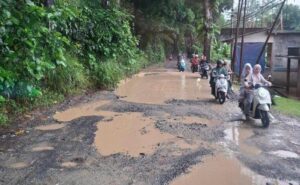 Penampakan Jalan Pangleseran – Cibatu Rusak Parah, Dinas PU Siapkan Perbaikan Tahun Ini