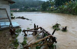 Puluhan Hektar Sawah Gagal Panen, 11 Rumah Terendam Banjir di Sukasirna Cibadak
