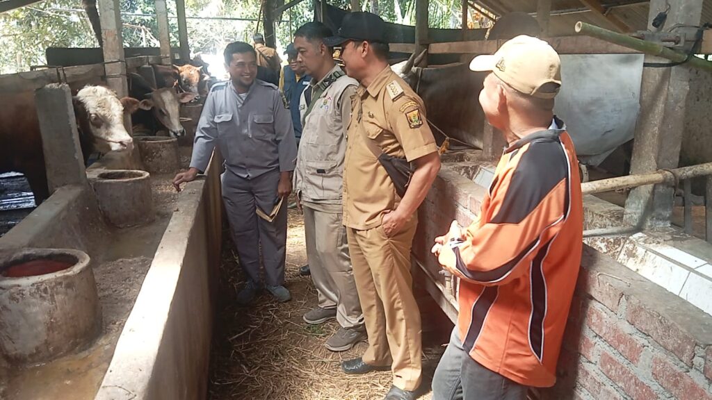Jelang Idul Adha, Camat Sagaranten Dampingi Disnak Sukabumi Lakukan Pemeriksaan Antemortem