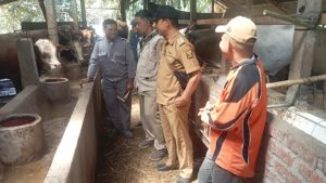 Jelang Idul Adha, Camat Sagaranten Dampingi Disnak Sukabumi Lakukan Pemeriksaan Antemortem