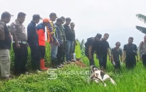 Ditemukan Tewas di Galengan Sawah, Pria Misterius Bawa Jaket Ojol