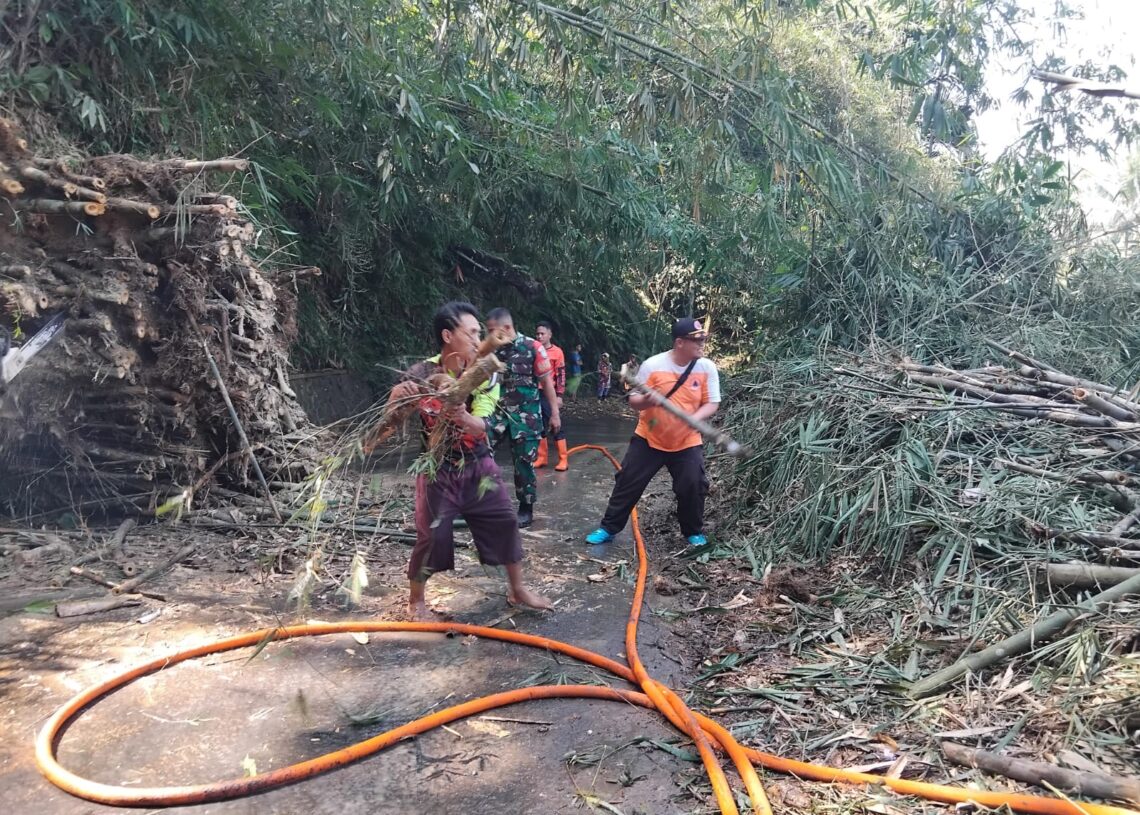 Tiga Rumpun Bambu Longsor Tutup Jalan di Nagrak, BPBD Sukabumi Gerak Cepat