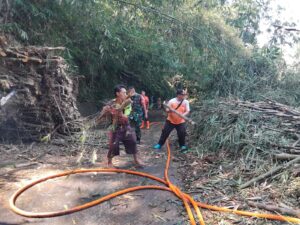Tiga Rumpun Bambu Longsor Tutup Jalan di Nagrak, BPBD Sukabumi Gerak Cepat