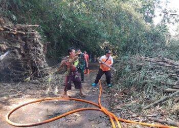 Tiga Rumpun Bambu Longsor Tutup Jalan di Nagrak, BPBD Sukabumi Gerak Cepat