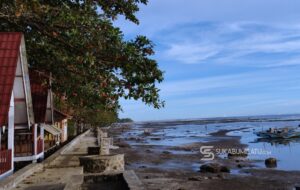 Ancaman Tsunami dan Abrasi, Tanaman Pesisir Jadi Solusi Alami di Sukabumi