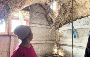 Nenek Rohanah Hidup di Rumah Hampir Roboh, Dikerubuti Tawon Tiap Hari