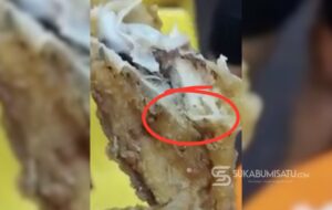 Program Makan Bergizi Gratis di Cibadak Disorot, Belatung Ditemukan dalam Lauk Ayam Goreng