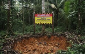 Mengapa Menambang Emas di Tanah Sendiri Tetap Dilarang dan Ilegal?