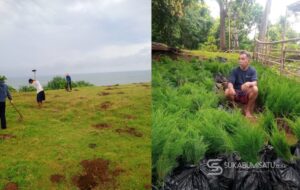 Dinas Kehutanan Tanam 7.700 Pohon Cemara Laut di Pantai Karang Bolong Cibitung