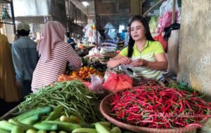 Harga Sembako Naik, Daya Beli Jatuh — Pedagang Pasar Cibadak Terjepit Program MBG