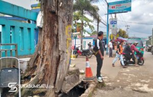 Waswas Setiap Hari, Warga Sekarwangi Minta Pohon Tua di Depan RSUD Sekarwangi Ditangani Sebelum Makan Korban