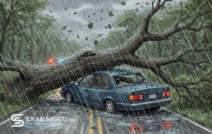 Kewenangan dan Tanggung Jawab Hukum, Ketika Pohon Tumbang Menimpa Pengguna Jalan