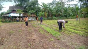 Bhabinkamtibmas Polsek Sagaranten Dorong Ketahanan Pangan, Warga Desa Datarnangka Tanam Jagung Hibrida
