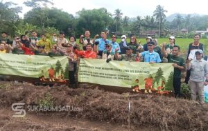 Sinergi Hijau! Yayasan Akar Pohon dan PLN Indonesia Power Tanam 5.831 Bibit di Sagaranten