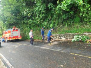 Pohon dan Rumpun Bambu Tutup Jalan Cikaso Sukabumi, Sinergi Damkar dan Polsek Surade Percepat Evakuasi