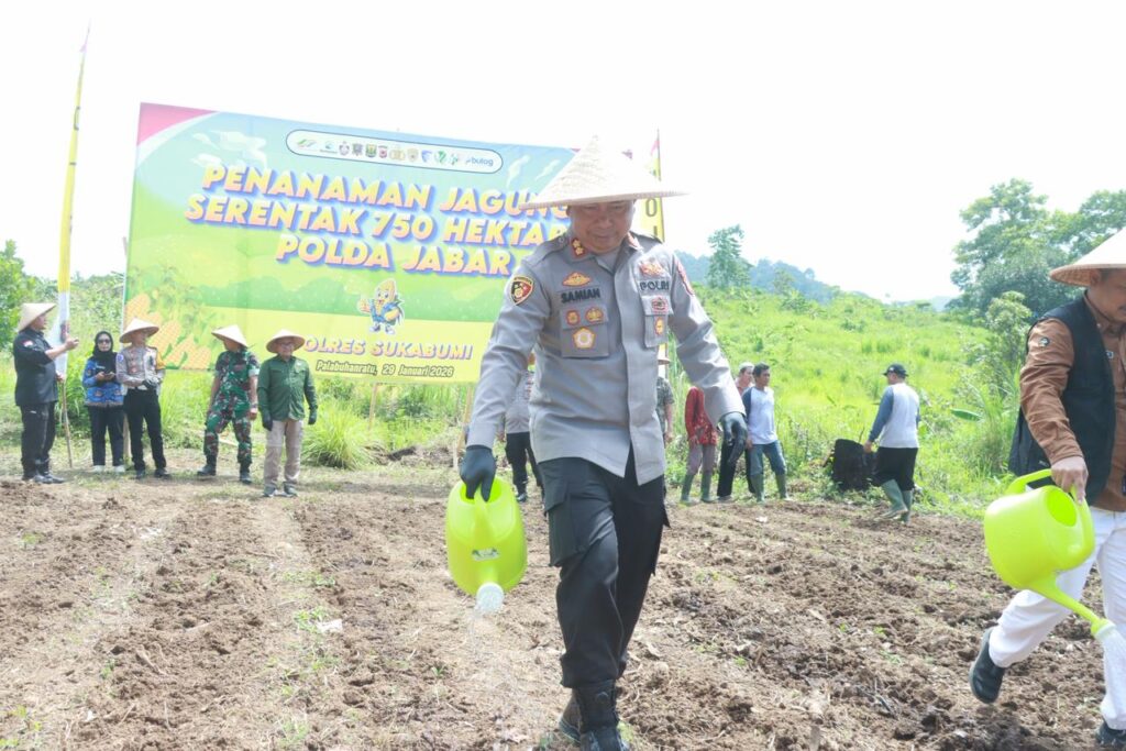 Sinergi Ketahanan Pangan, Polres Sukabumi Tanam Jagung Serentak di Palabuhanratu