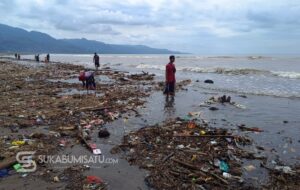 Alarm Kerusakan Ekosistem di Balik Fenomena Kerang Loji: Saat Laut “Muntahkan” Biotanya Bersama Sampah