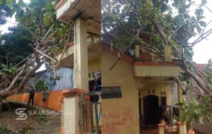 Pohon Jati Setinggi 15 Meter Timpa Rumah Warga di Sagaranten, Begini Kondisinya