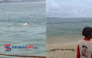 Jasad Pria Berkolor Hitam Terapung di Pantai Cibuaya Saat Sunset, Ini Identitasnya