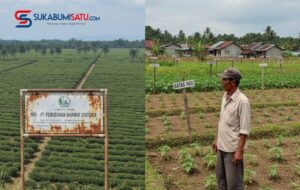 Ironi Tanah Surga Sukabumi: Ribuan Hektar Lahan ‘Tidur’ Milik Perusahaan, Rakyat Mau Bertani Tak Punya Tanah