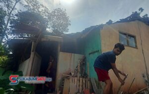 Angin Kencang Sebabkan Pohon Tumbang di Sagaranten Sukabumi, Dua Rumah Warga Rusak