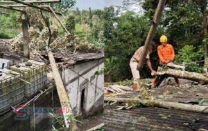 Pohon Tumbang Akibat Angin Kencang Timpa Atap Ponpes di Cicurug Sukabumi, Tidak Ada Korban Jiwa