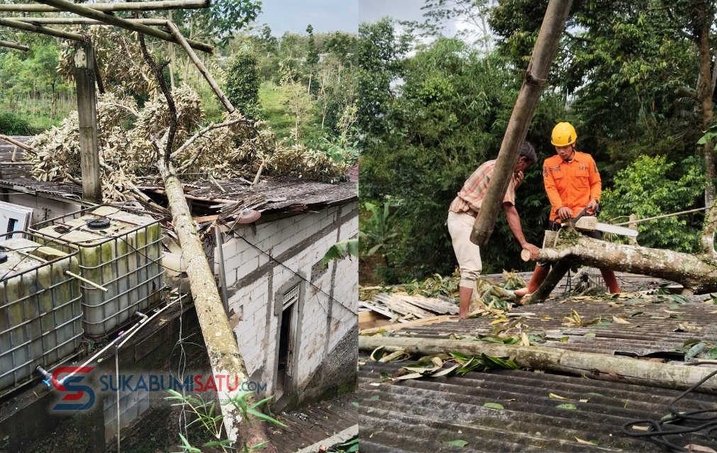 Pohon Tumbang Akibat Angin Kencang Timpa Atap Ponpes di Cicurug Sukabumi, Tidak Ada Korban Jiwa