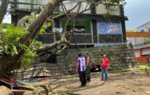 Cuaca Ekstrem di Nagrak Sukabumi, Pohon Tumbang Timpa Ruko, Rumah, dan Motor Warga