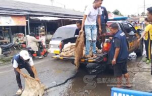 Sinergi TNI-Polri dan Warga, Polsek Nagrak Gelar Aksi Korve Bersihkan Drainase dan Tambal Jalan Rusak Laksanakan Arahan Presiden