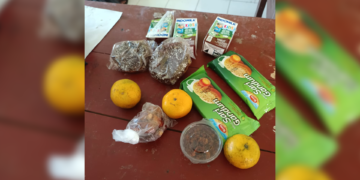 Dorong Pengawasan Publik, Karang Taruna Jampangkulon Sebar Kuesioner Kepuasan Program MB