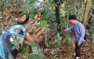 Tangis Bayi di Balik Rimbun Kebun Parungkuda, Ditemukan Warga Terbungkus Plastik Hitam