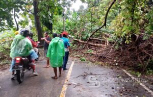 Longsor di Jalan Nasional Bagbagan–Kiara Dua, Akses Lalu Lintas Sempat Tersendat