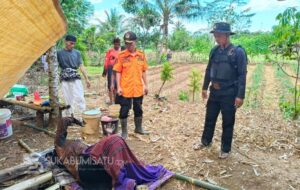 Tragis, Petani di Pabuaran Sukabumi Ditemukan Tewas Tertimpa Pohon Bambu, Kondisinya Mulai Membusuk
