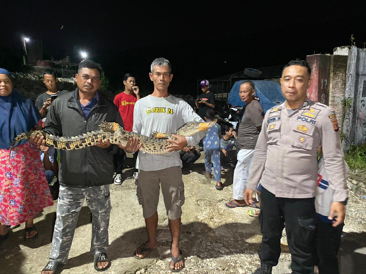 Heboh! Warga Dua Kampung di Cibadak Sukabumi Gotong Royong Tangkap Buaya 1,5 Meter di Kali Cibatu